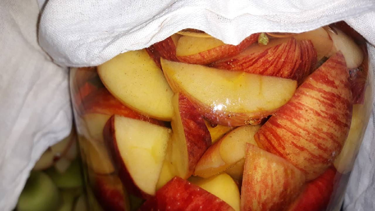 Elma Sirkesi Nasıl Yapılır? İşte Evde Doğal Elma Sirkesi Tarifi