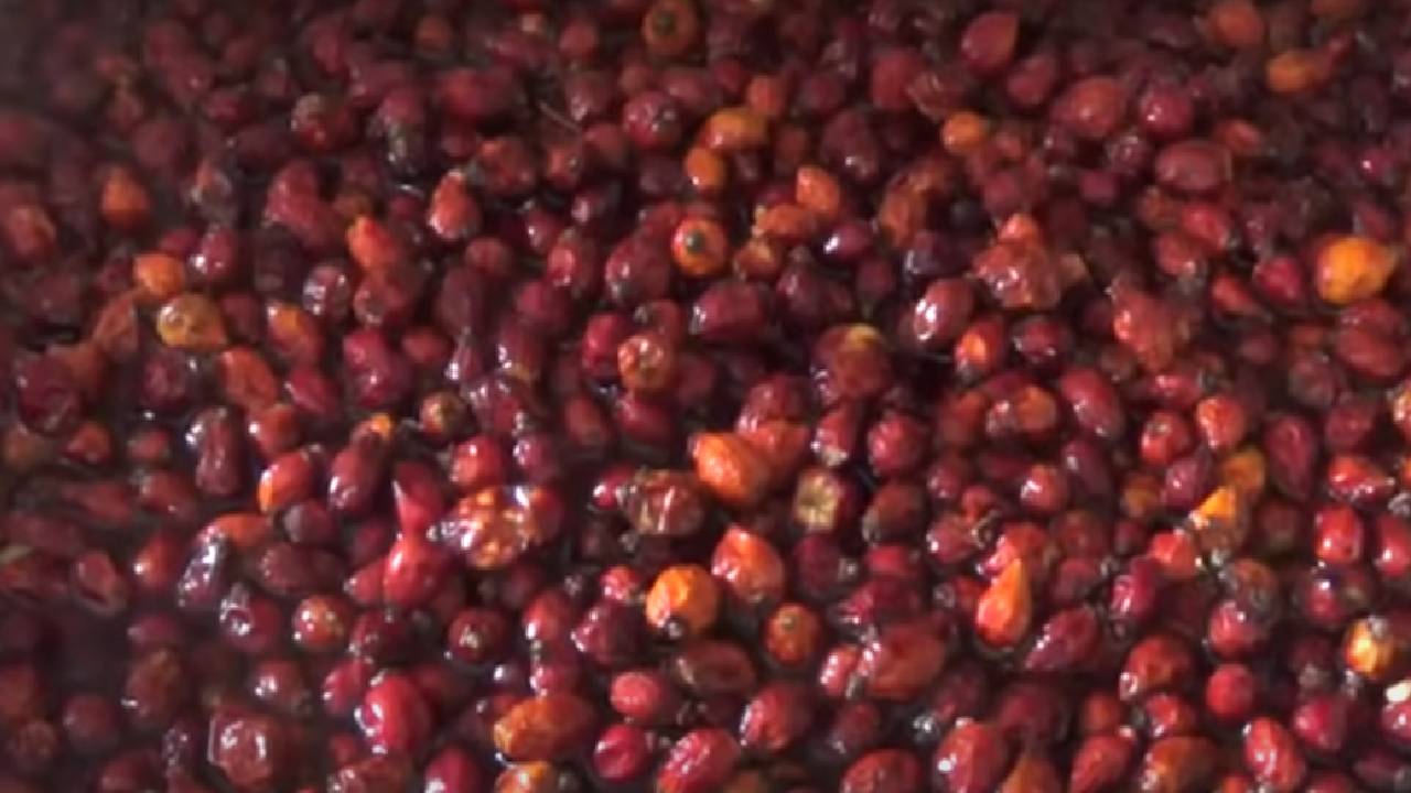 Bağışıklığı Güçlendiren Kuşburnu Hoşafı Tarifi