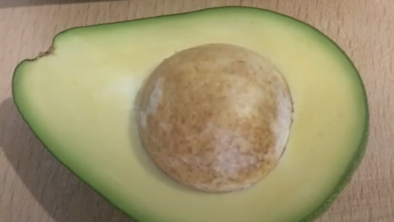 Muhteşem Bir Lezzet: Avokado Ruloları