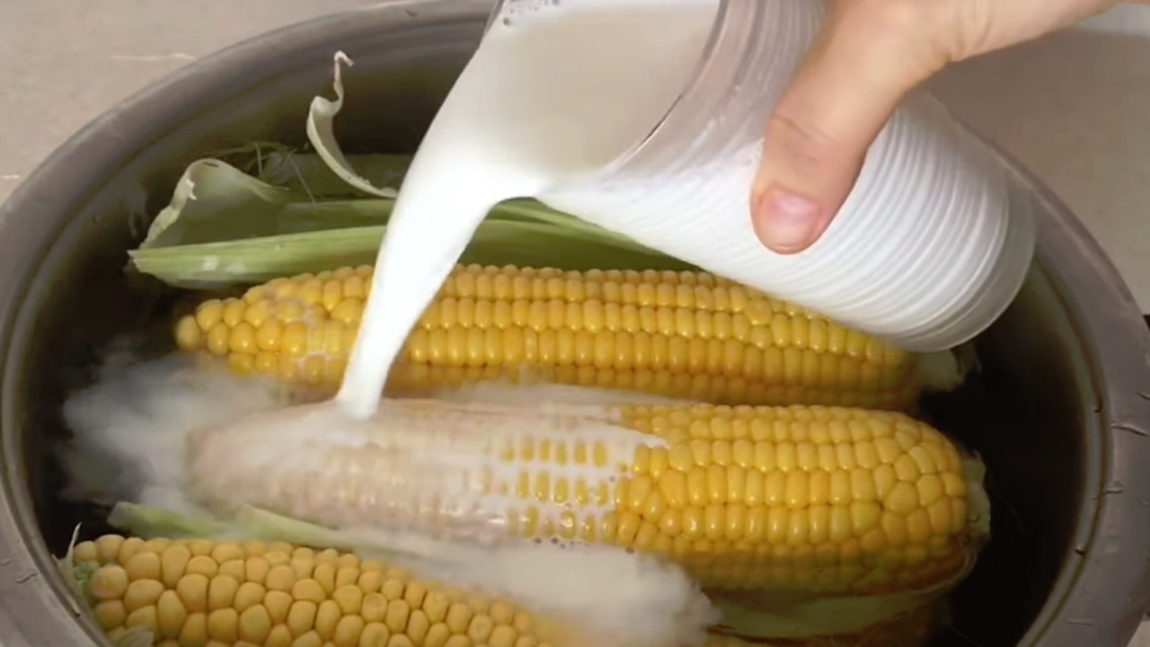 Püf noktalarıyla evde süt mısır yapılışı